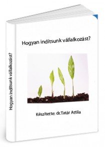 vallalkozas_konyv-minta4